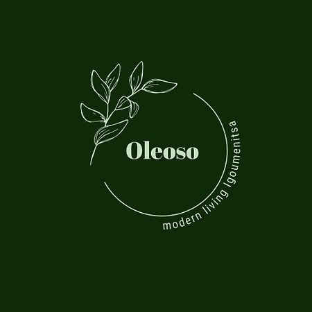 Oleoso Daire İgumeniça Dış mekan fotoğraf